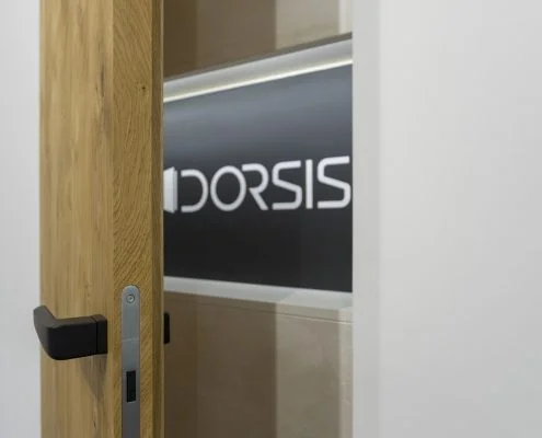 DSC07224 DORSIS s.r.o. - dveře a skryté zárubně - informace o skrytých zárubních vyráběných českou firmou DORSIS s.r.o.