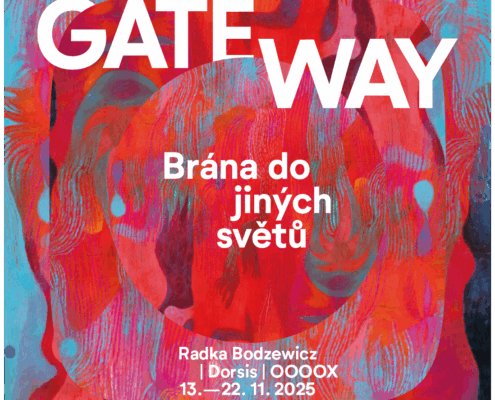 korektura c1instagram post CZ gateway bold 1080x1080px RGB DORSIS s.r.o. - dveře a skryté zárubně - informace o skrytých zárubních vyráběných českou firmou DORSIS s.r.o.